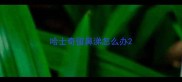 哈士奇留鼻涕怎么办