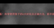 养狗必看科学使用笼子的6大好处及正确方法新手家长必读
