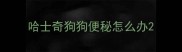 哈士奇狗狗便秘怎么办