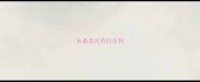 长春卖拉布拉多狗