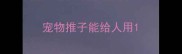 宠物推子能给人用