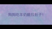 狗狗吃羊奶酪拉肚子