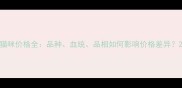 猫咪价格全品种血统品相如何影响价格差异