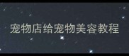 宠物店给宠物美容教程