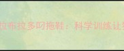 5步训练法教拉布拉多叼拖鞋科学训练让狗狗聪明伶俐