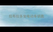 拉布拉多坐电动车钥匙