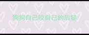 狗狗自己咬自己的后腿