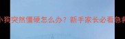 新生儿小狗突然僵硬怎么办新手家长必看急救指南