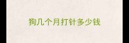 狗几个月打针多少钱