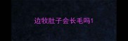 边牧肚子会长毛吗