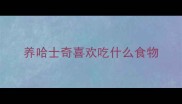 养哈士奇喜欢吃什么食物