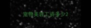 宠物美容工资多少