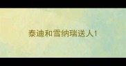 泰迪和雪纳瑞送人