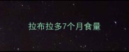 拉布拉多7个月食量