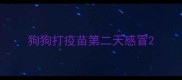 狗狗打疫苗第二天感冒