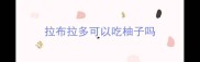 拉布拉多可以吃柚子吗