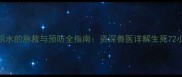 狗狗溺水后肺部积水的急救与预防全指南资深兽医详解生死72小时黄金处理方案