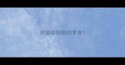 奖励给狗狗的零食