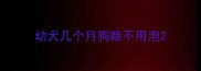 幼犬几个月狗粮不用泡