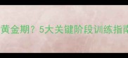 萨摩耶几个月进入智力黄金期5大关键阶段训练指南附科学喂养方案