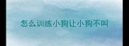 怎么训练小狗让小狗不叫