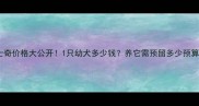 哈士奇价格大公开1只幼犬多少钱养它需预留多少预算