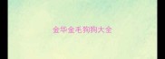 金华金毛狗狗大全