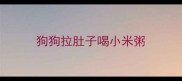 狗狗拉肚子喝小米粥