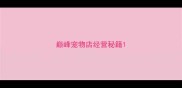 巅峰宠物店经营秘籍