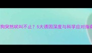 狗狗突然吠叫不止5大诱因深度与科学应对指南