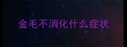 金毛不消化什么症状
