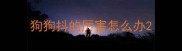 狗狗抖的厉害怎么办
