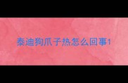 泰迪狗爪子热怎么回事