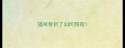 猫咪骨折了如何照顾
