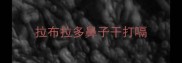 拉布拉多鼻子干打嗝