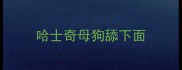 哈士奇母狗舔下面