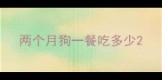 两个月狗一餐吃多少
