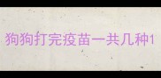 狗狗打完疫苗一共几种