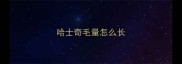 哈士奇毛量怎么长
