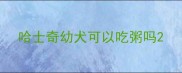 哈士奇幼犬可以吃粥吗