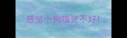 感觉小狗嗅觉不好