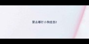 要去哪打小狗疫苗