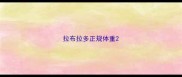 拉布拉多正规体重