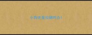 小狗老是拉稀咋办
