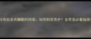 拉布拉多犬睡眠时间表如何科学养护全养宠必看指南