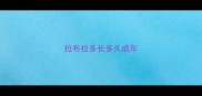 拉布拉多长多久成年