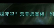 泰迪吃大型犬粮会撑死吗营养师真相附泰迪专用粮选购指南