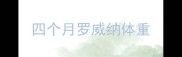 四个月罗威纳体重