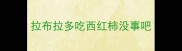 拉布拉多吃西红柿没事吧