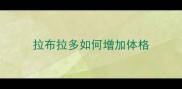 拉布拉多如何增加体格